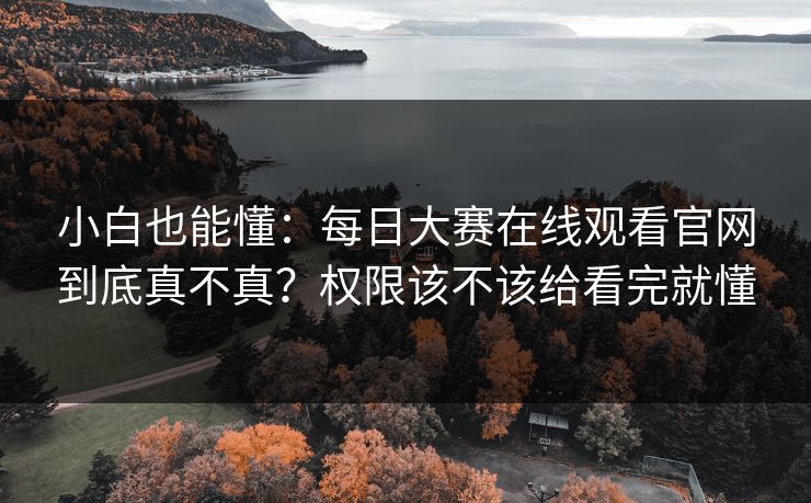 小白也能懂：每日大赛在线观看官网到底真不真？权限该不该给看完就懂
