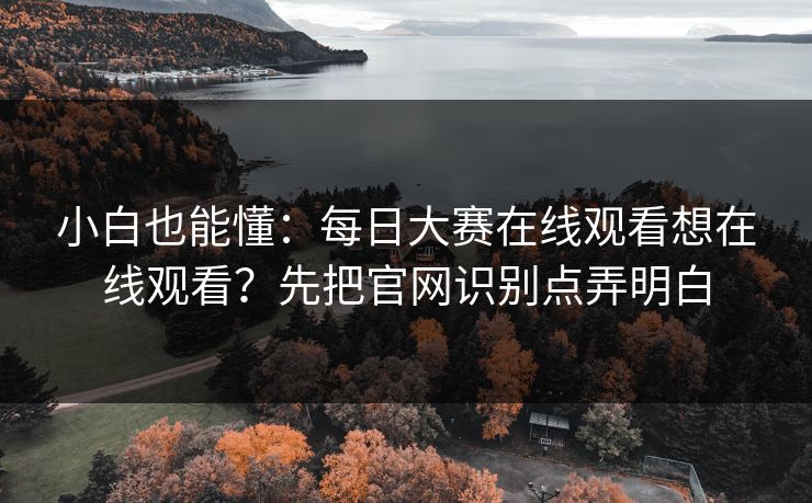 小白也能懂:每日大赛在线观看想在线观看?先把官网识别点弄明白 小白也能懂:每日大赛在线观看想在线观看?先把官网识别点弄明白