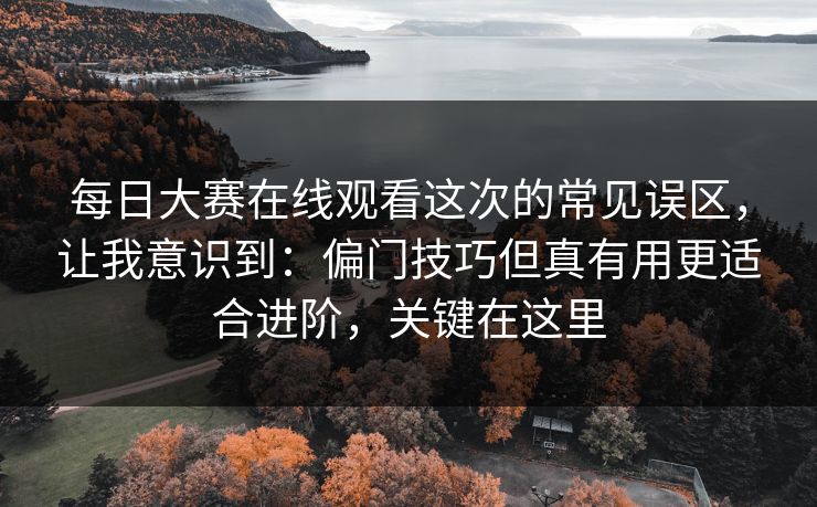 每日大赛在线观看这次的常见误区，让我意识到：偏门技巧但真有用更适合进阶，关键在这里